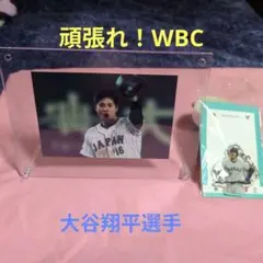 Item thumbnail for item 2c669702-d70b-4b95-9277-56a0b6087330