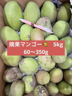 宮崎産摘果マンゴー5キロ - メルカリ