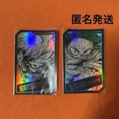 ヒロアカ ホロカード 爆豪勝己 緑谷出久