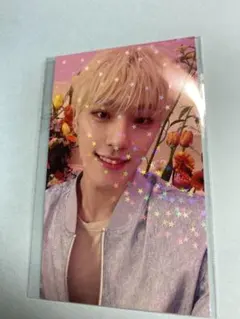 SEVENTEEN トレカ Always yours ユニバ特典 ディノ