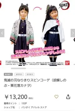 鬼滅の刃 なりきりスピンコーデ 胡蝶しのぶ 栗花落カナヲ と しのぶ ぬいぐるみ