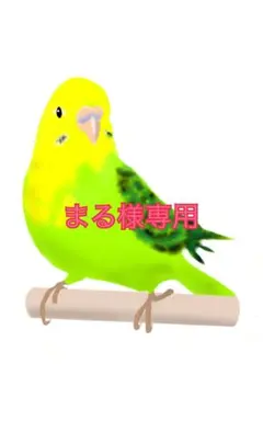 Item thumbnail for item 84ec27b9-362f-4306-baf7-fee65321c435