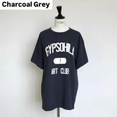 gypsohila Tシャツ