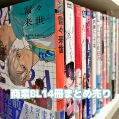 商業BL まとめ売り ② BL漫画14冊