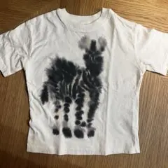 h&m シマウマTシャツ
