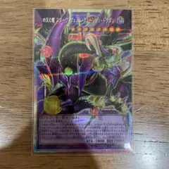 四天の龍　スターヴヴェノムフュージョンドラゴン　オーバーフレーム　プリズマ