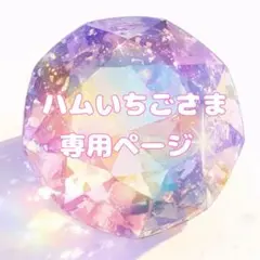 【ハムいちごさま✨専用】 おまとめページ♥️