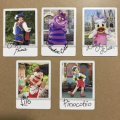 東京ディズニーリゾート コレクションカード 5枚セット - メルカリ