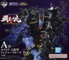 m74779682182_1.jpg?1770469259