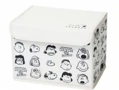 steady 2021年10月号付録スヌーピー&フレンズ インテリア収納ボックスのサムネイル