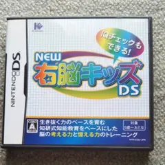 【送料込】NEW右脳キッズDS