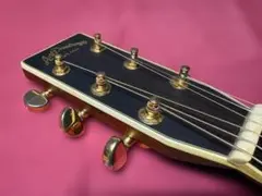 超極上オール単板！アリア・ドレッドノート AD-80N がこれだ！超激鳴・超美品 超極上オール単板！アリア・ドレッドノート AD-80N がこれだ！超激鳴