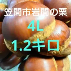 世界ちゃん様 リクエスト 2点 まとめ商品