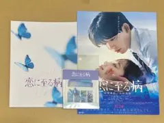 恋に至る病　パンフレット　フライヤー　ステッカー　長尾謙杜