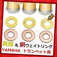 Item thumbnail for item a9c7469c-c175-4c20-bffb-0cb563fe369f