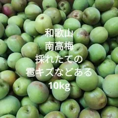 和歌山県産 紀州南高梅 完全無農薬 10キロ - メルカリ