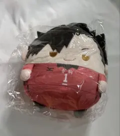 ハイキュー!! くじメイト ぬいくじ2 D賞 ふわコロリン E賞 黒尾鉄朗
