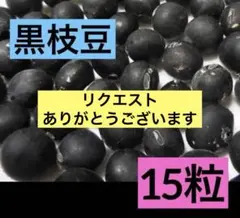 SPELL⭐︎おまとめ割引承ります！様 リクエスト 3点 まとめ商品