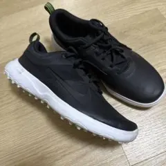 ゴルフシューズ nike