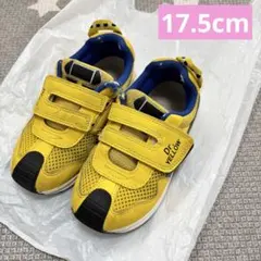 17.5cm