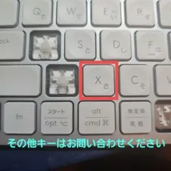 MX KEYS KX700PG mini アルファベットXキートップ
