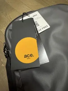 【新品未使用】ace. ラグレンティス リュックのサムネイル