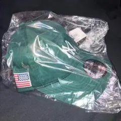 新品 NEW ERA 9 TWENTY Stars & Stripes NY深緑