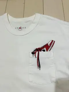 【希少品】刺繍　希少モデル　NIKEナイキJORDAN ジョーダン　Tシャツ
