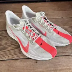美品 2度のみ着用 NIKE ペガサスプラス 29.0cm - メルカリ