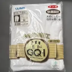 グンゼ長ズボン下前あき