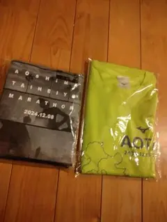 未使用　青島太平洋マラソン　Tシャツ　アオタイ　マラソン大会　ミズノ　L　セット