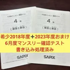 2026年最新】sapix 組分けテスト 新5年の人気アイテム - メルカリ