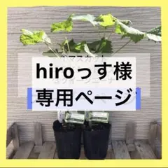 hiroっす様専用 ＢＫシードレス ２点