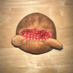 Item thumbnail for item ff61cec9-40cc-488e-a37e-9a4ae25ee877