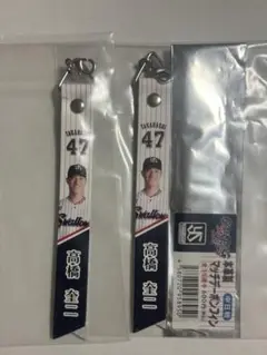 高橋奎二 東京ヤクルトスワローズ ボンフィン