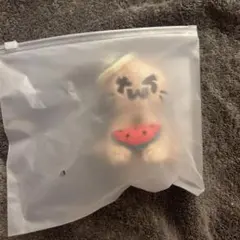 TWS POPUP PLUSH KEYRING トゥゴミ キーリング 日焼け - メルカリ