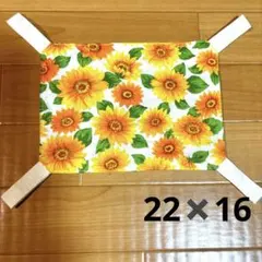 Item thumbnail for item 18eb9f4b-2fec-44d7-a4cf-46e225010777