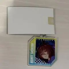 우마무스메 アグネスタキオン デコフレアアクリルキーホルダー