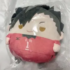 ハイキュー　くじメイト　ぬいくじ　ふわコロりん　黒尾鉄朗
