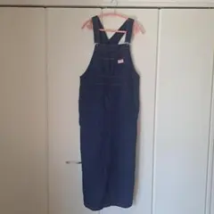 JaVaコラボサロペット