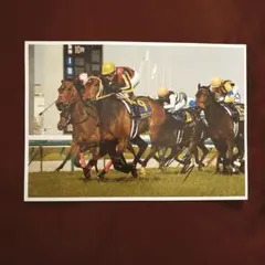 JRA 競馬 勝負服 キストゥヘヴン 吉田和子氏 中古 社台 安藤勝己騎手サイン JRA 競馬 勝負服 キストゥヘヴン 吉田和子氏 中古 社台 安藤勝己