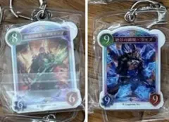 コロロ様 リクエスト 2点 まとめ商品