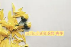 midorin様 専用ページ