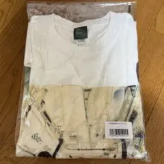 新品LスピッツROBINSONロビンソンフォトTシャツ即完売品ハチミツ30th