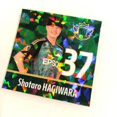 松本山雅 クラブガンズジュニア限定品 2025年プレイヤーズシール 萩原正太郎