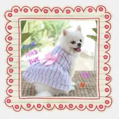 ストライプ ワンピース 犬服 ドッグウェア ペット ピンク ブルー Мサイズ