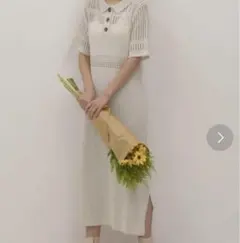 Alley by w closetメッシュボーダーニットポロワンピースアイボリーのサムネイル