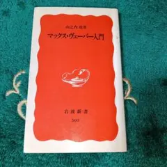 マックス・ヴェーバー入門 岩波新書 503