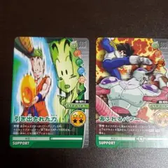ドラゴンボール　データカードダス　カード　2枚　クリリン　悟飯　フリーザ