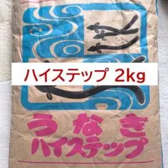 林兼産業 ハイステップ 2kg うなぎの餌 ウナギの餌 鰻の餌 練り餌 稚魚